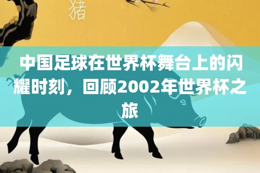 中国足球在世界杯舞台上的闪耀时刻，回顾2002年世界杯之旅