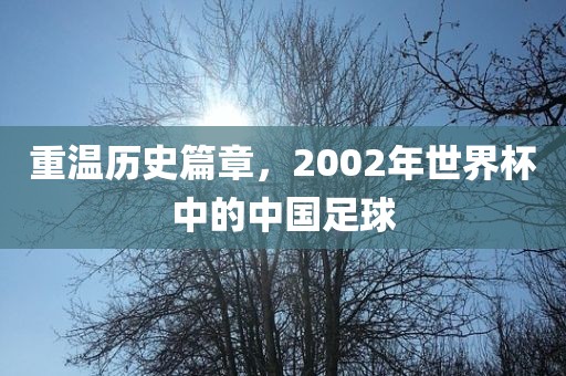 重温历史篇章，2002年世眉山市正发家政服务有限公司界杯中的中国足球