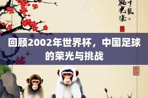 回顾2002年世界杯，中国足球的荣光与挑战