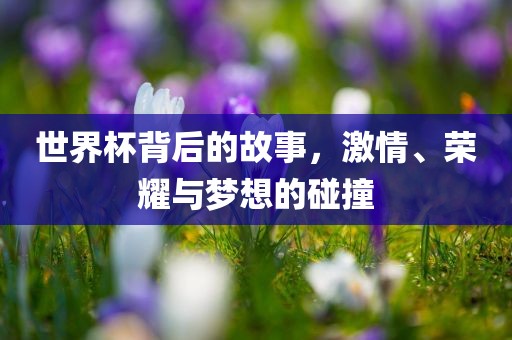 世界杯背后的故事，激情、荣耀与梦想的碰撞