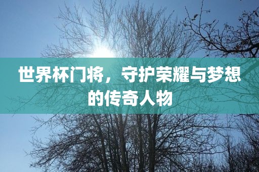 世界杯门将，守护荣耀与梦想的传奇人物
