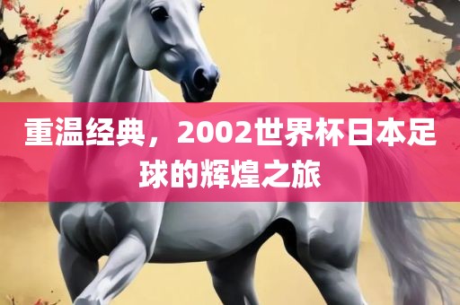重温经典，2002世界杯日本足球的辉煌之旅
