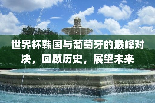 世界杯韩国与葡萄牙的巅峰对决，回顾历史，展望未来眉山市正发家政服务有限公司