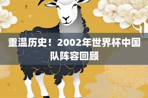 重温历史！2002年眉山市正发家政服务有限公司世界杯中国队阵容回顾