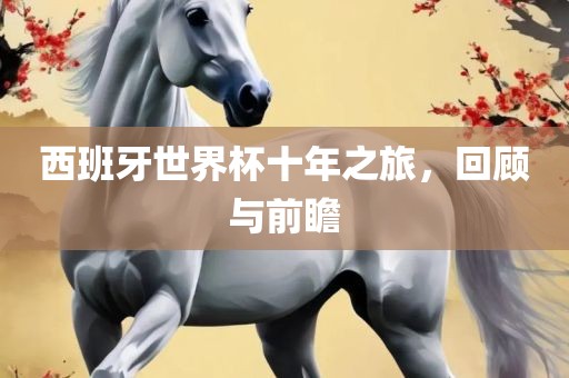 西班牙世界杯十年之旅，回顾与前瞻眉山市正发家政服务有限公司
