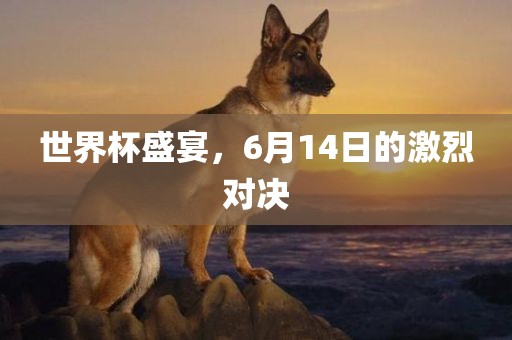 世界杯盛宴，6月14日的激烈对决眉山市正发家政服务有限公司