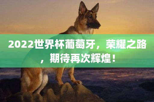 2022世界杯葡萄眉山市正发家政服务有限公司牙，荣耀之路，期待再次辉煌！
