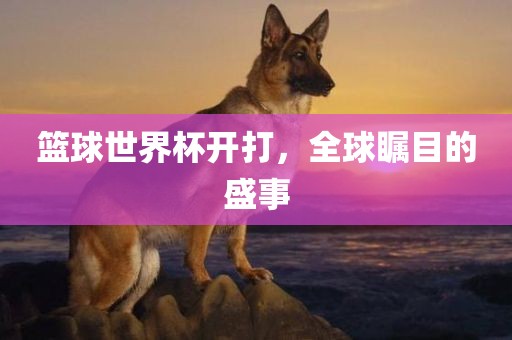 篮球世界杯开打，全球瞩目眉山市正发家政服务有限公司的盛事