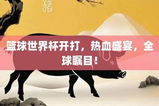 篮球世界杯开打，热血盛宴，全球瞩目！眉山市正发家政服务有限公司