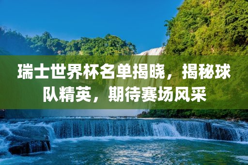 瑞士世界杯名单揭晓，揭秘球队精英，期待赛场风采眉山市正发家政服务有限公司