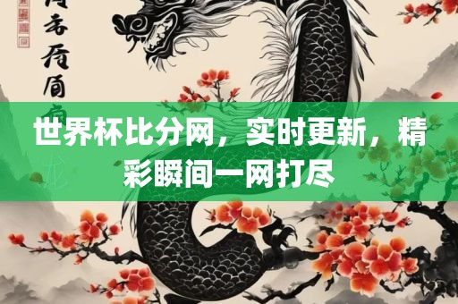 世界杯比分网，实时更新，精彩瞬间一网打尽