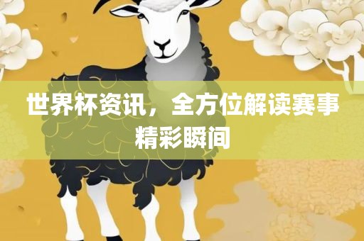 世界杯资讯，全方位解读赛事精彩瞬间眉山市正发家政服务有限公司