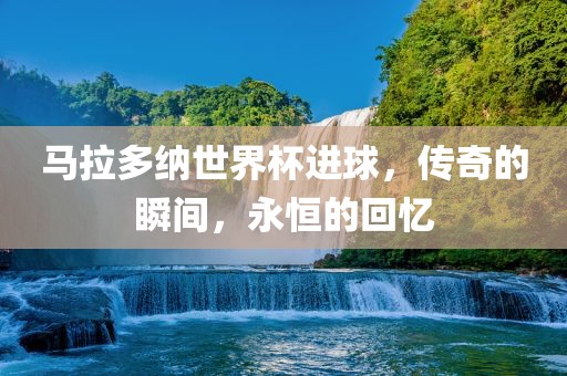 马拉多纳世界杯进球，传奇的瞬间，永恒的回忆眉山市正发家政服务有限公司