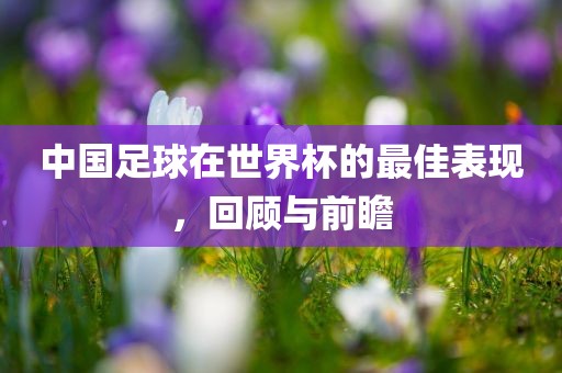 中国足球在世界杯的最佳表现，回顾与前瞻