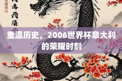 重温历史，2006世界杯意大利的荣耀时刻眉山市正发家政服务有限公司