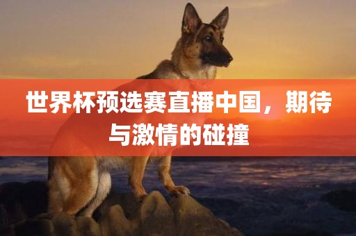 世界杯预选赛直播中国，期待与激情的碰撞