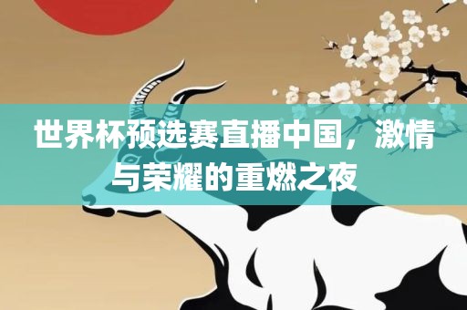 世界杯预选赛直播中国，激情与荣耀的重燃之夜
