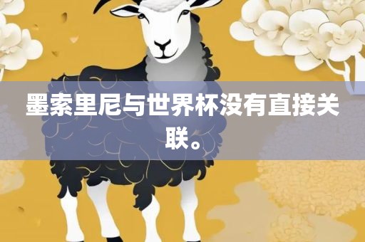 墨索里尼与世界眉山市正发家政服务有限公司杯没有直接关联。