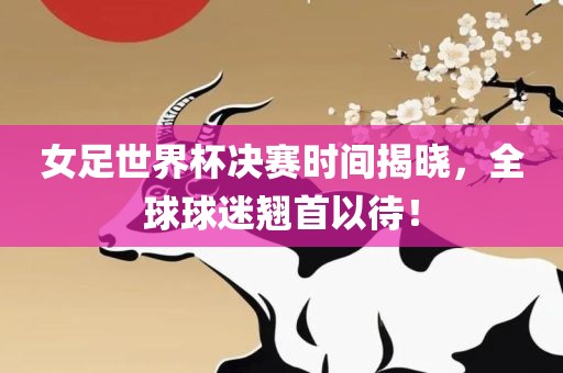 女足世界杯决赛时间揭晓，全球球迷翘首以待！眉山市正发家政服务有限公司