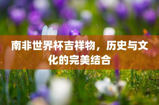 南非世界杯眉山市正发家政服务有限公司吉祥物，历史与文化的完美结合