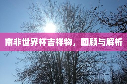 南非世界杯吉祥物，回顾与解析