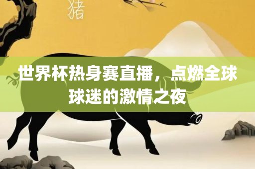 世界杯热身赛直播，点燃全球球迷的激情之夜眉山市正发家政服务有限公司