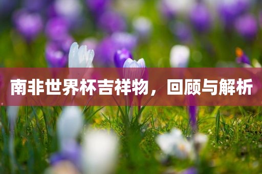 南非世界杯吉祥物，回顾与解析