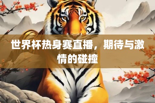 世界杯热身赛直播，期待与激情的碰撞
