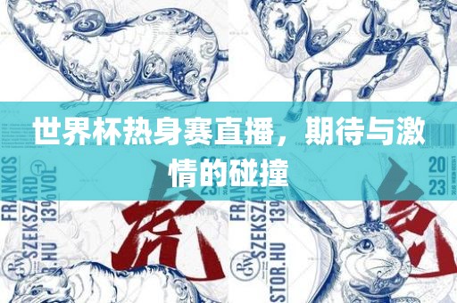 世界杯热身赛直播，期待与激情的碰撞