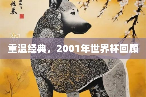 重温经典，2001年世界杯回顾