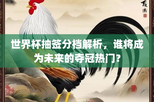世界杯抽签分档解析，谁将成为未来的夺冠热门？