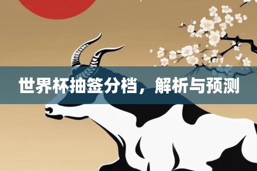 世界杯抽签分档，解析与预测眉山市正发家政服务有限公司