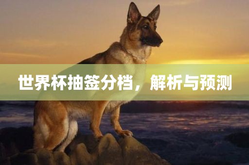 世界杯抽签分档，解析与预测