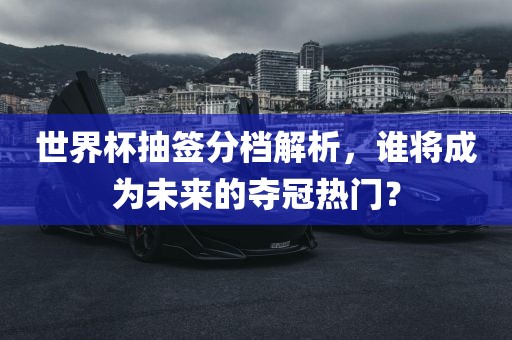 世界杯抽签分档解析，谁将成为未来的夺冠热门？眉山市正发家政服务有限公司