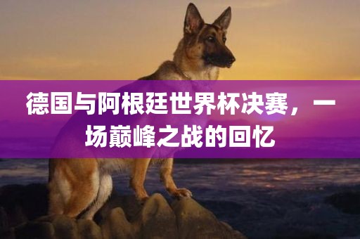 德国与阿根廷世界杯决赛，一场巅峰之战的回忆眉山市正发家政服务有限公司
