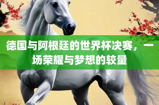 德国与阿根廷的世界杯决赛，一场荣耀与梦想的较量眉山市正发家政服务有限公司