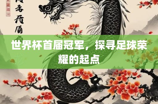 世界杯首届冠军，探寻足球荣耀的起点