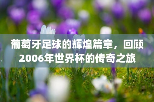 葡萄牙足球的辉煌篇章，回顾2006年世界杯的传奇之旅眉山市正发家政服务有限公司