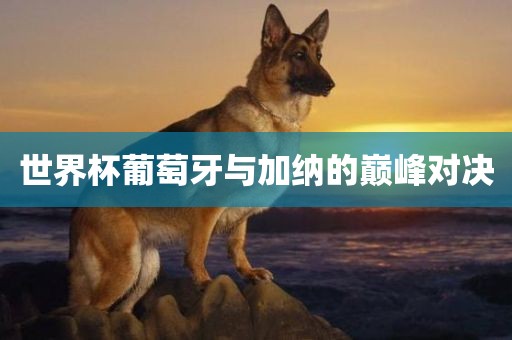 xinyu 第6页