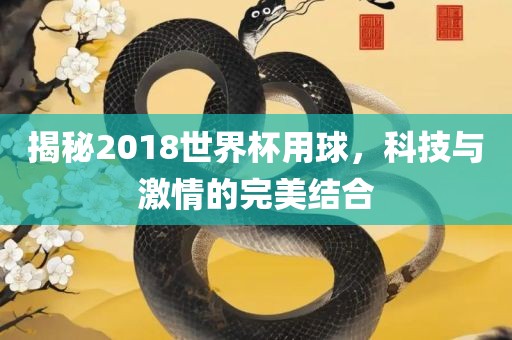 揭秘2018世界杯用球，科技与激情的完美结合眉山市正发家政服务有限公司