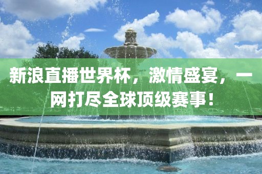新浪直播世界杯，激情盛宴，一网打尽全球顶级赛事！眉山市正发家政服务有限公司