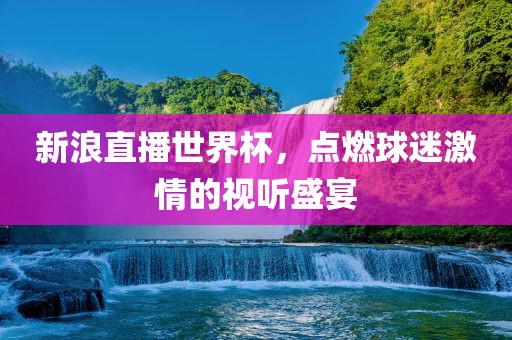 新浪直播世界杯眉山市正发家政服务有限公司，点燃球迷激情的视听盛宴