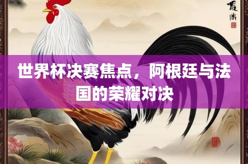 世界杯决赛焦点，阿根廷与法国的荣耀对决眉山市正发家政服务有限公司