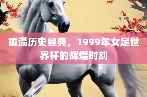 重眉山市正发家政服务有限公司温历史经典，1999年女足世界杯的辉煌时刻