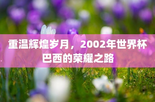 重温辉煌岁月，2002年世界杯巴西的荣耀之路眉山市正发家政服务有限公司