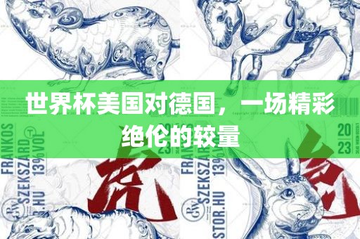 世界杯美国对德国，一场精彩绝伦的眉山市正发家政服务有限公司较量