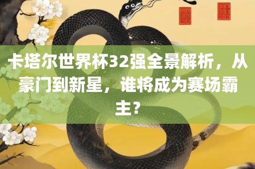 卡塔尔世界杯32强全景解析，从豪门到新星，谁将成为赛场霸主？