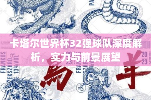 卡塔尔世界杯32强球队深度解析，实力与前景展望