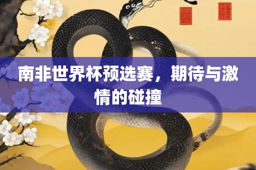 南非世界杯预选赛，期待与激情的碰撞眉山市正发家政服务有限公司