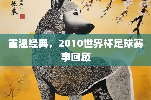 重温经典，2010世界杯足球赛事回顾